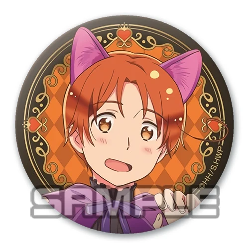 Аниме Hetalia Axis Power значки 58 мм круглые Милая брошь версия животного | Украшения и