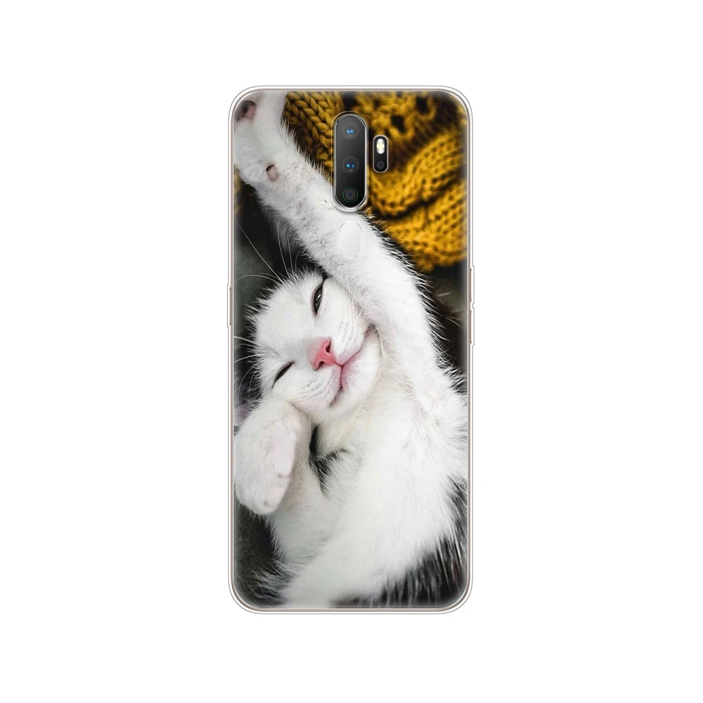 Cat Dog Cartoon Cute|Бамперы| |
