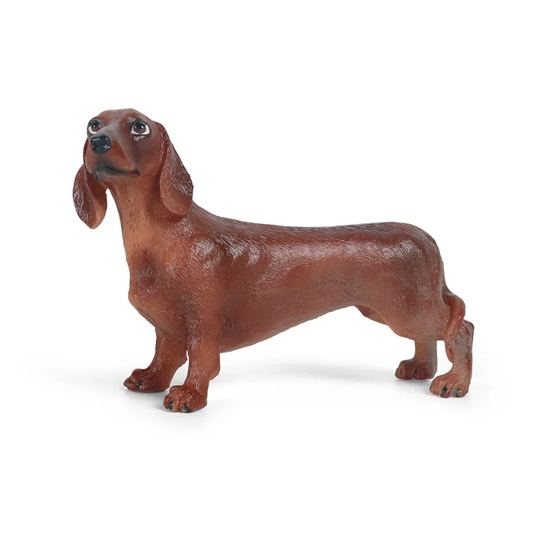 Таксы животных статуэтки коллекционные игрушки собака животное познание