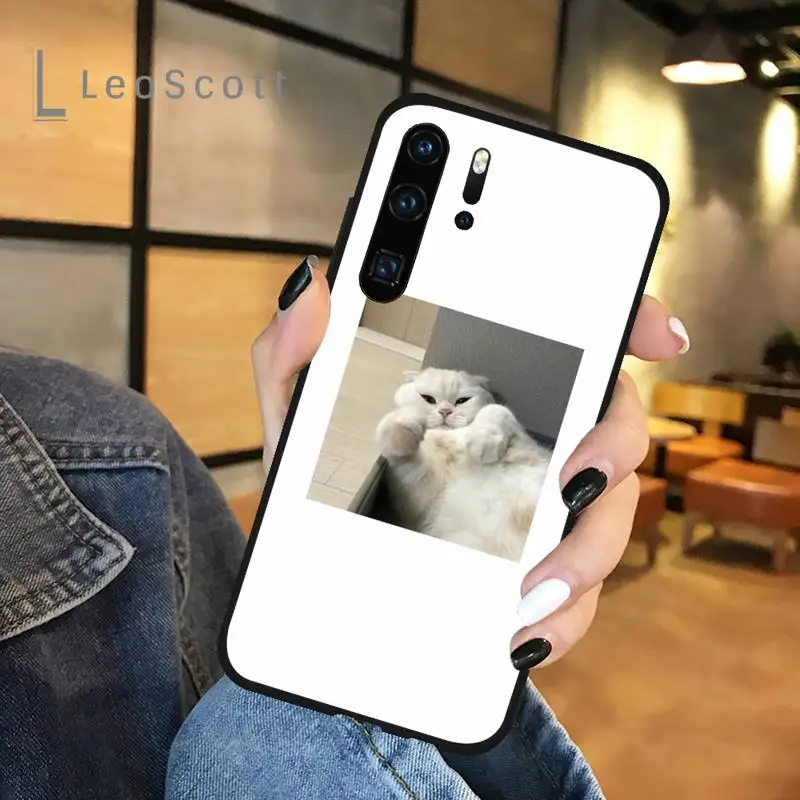 

cat cute animal Phone Case For Huawei P 20 30 40 lite pro smart 2019 honor 10 i lite 8x nova 5t mate 20 pro funda