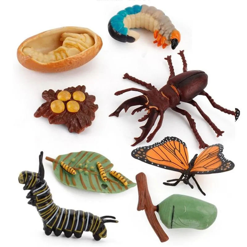 

Имитация насекомых, пчелы, цикл роста, Модель жизненного цикла, Набор фигурок, морская черепаха, муравья, модель роста, Play игрушки "Цыплята"