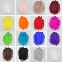 20pcslot goose feathers for craft 13 20cm long dress clothes hats embellishments floral decor duck feathers