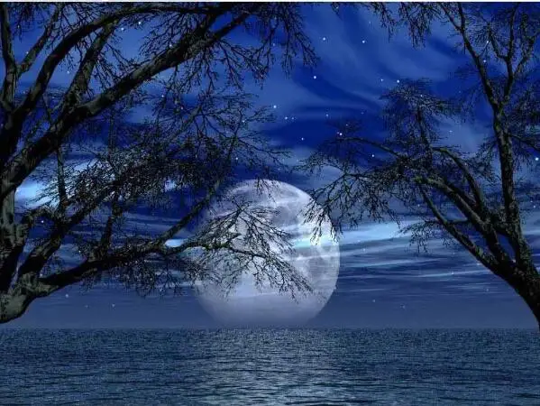 

Diamond embroidery Night landscape moon painting DIY 5D Diamond painting Cross Stitch mazayka diamond room decorations for