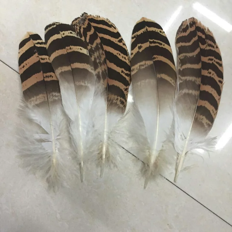 

Wholesale 10pcs / lot rare Bicolor Sweet carving eagle feathers long 18-23cm / 7-9 inch beautiful pattern feathers