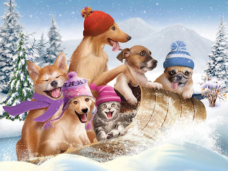 

5D Diamond painting Animal Skating Dogs Full Square Diamond embroidery Cross stitch Full Round Diamond mosaic