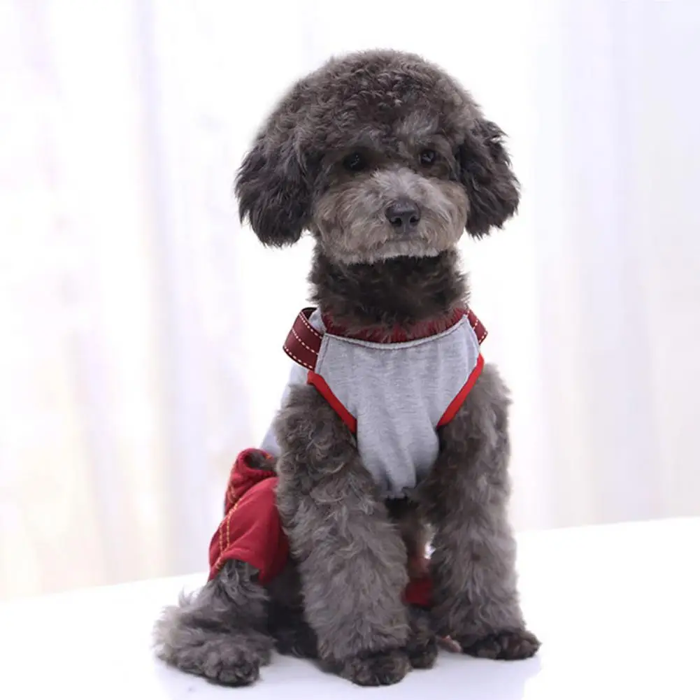 

Dog Clothes Pet Bodysuit Round Neck Four-legged Cotton Comfortable Puppy Jumpsuit for Daily Life Summer