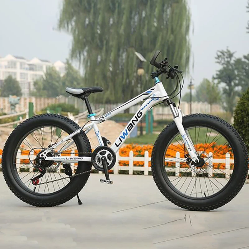 Новый Style21-speed 24-дюймовый Высокоуглеродистая сталь двойной диск велосипед