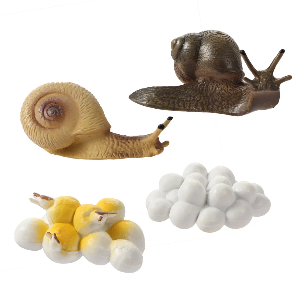 

Новая модель животных, модель насекомых, мини-животные, морщинки, цикл роста, украшения, Детские познавательные обучающие игрушки, подарок д...