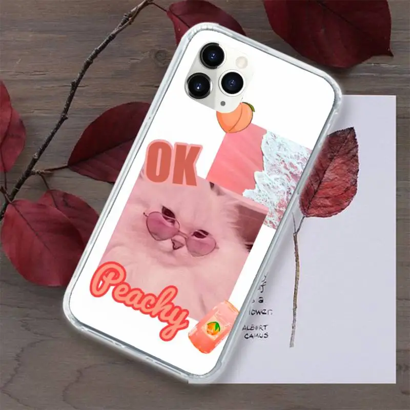 

Dinosaur cute cat astronaut Phone Case for iPhone 11 12 pro XS MAX 8 7 6 6S Plus X 5S SE 2020 XR