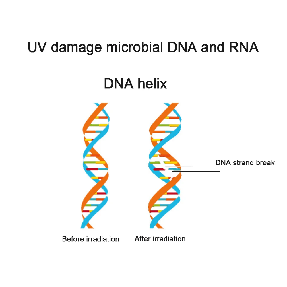 3 Вт 5 Портативный USB ультрафиолетовый УФ-светильник стерилизатор бактерицидная