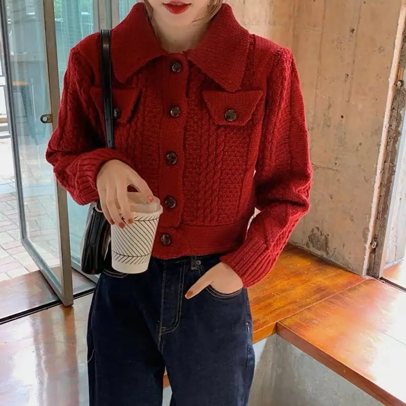 

Women 2021 Autumn New Fashion Short Sweater Outwears Female Retro Solid Color Cardigan Coats Ladies Twist Knitted Jackets D402