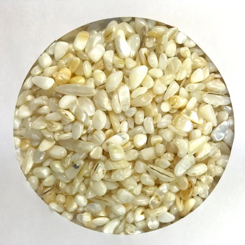 Прямая поставка 50 г 3 вида ракушек искусственные кварцевые кристаллы