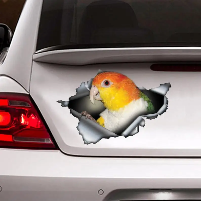 

rusty Caique sticker , car decoration, car sticker , Vinyl decal, Caique decal