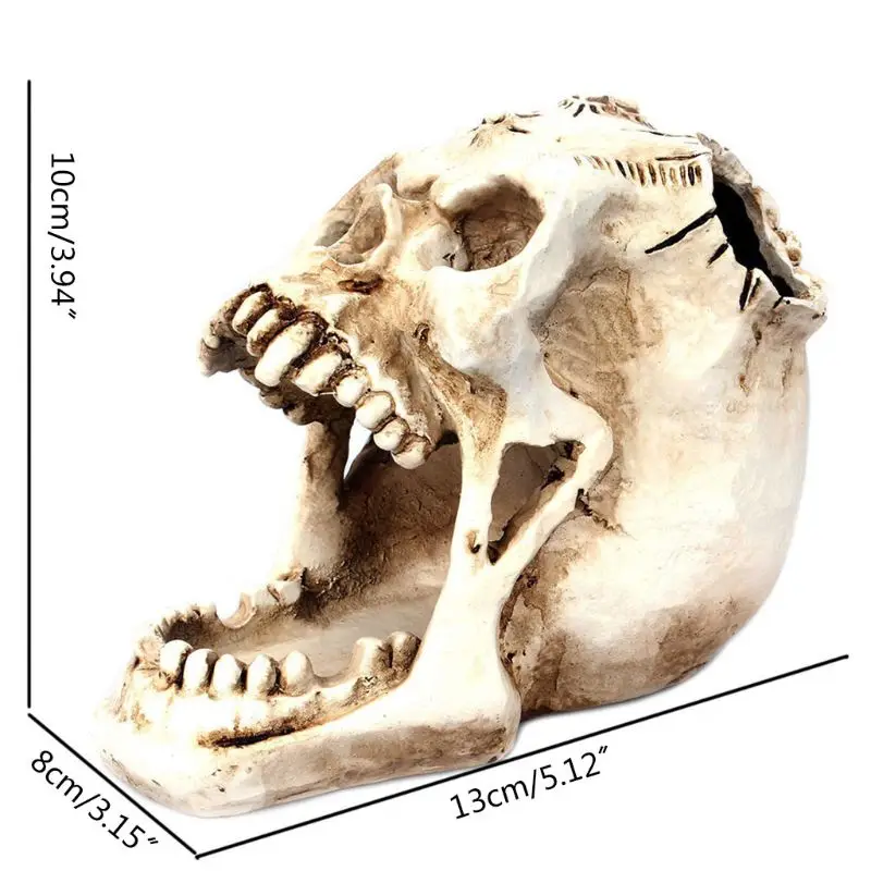 

Skull Head Ornament Skeleton Pen Holder Desktop Pencil Organizer Makeup Storage