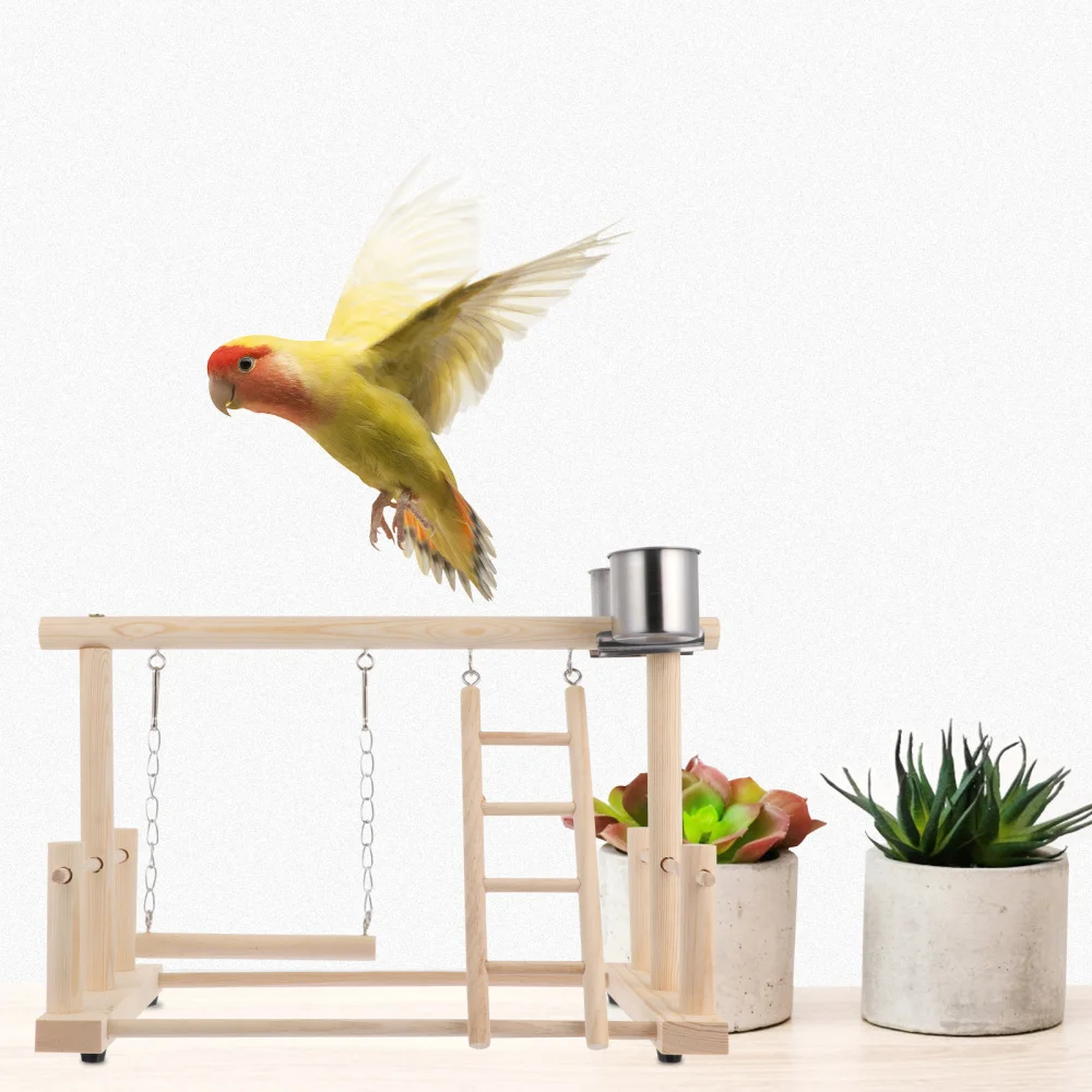 

1 Set Bird Perches Nest Play Stand Gym Parrot Playground Playgym Bird Playstand