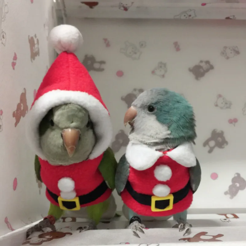 Теплая одежда ручной работы с птицами милый Летающий костюм для тараканов солнца