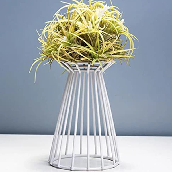 

2 Pack Air Plant Holder Tillandsia Metal Indoor Tabletop Big Streptophylla Air Plant Stands Plant Racks Plant Stand