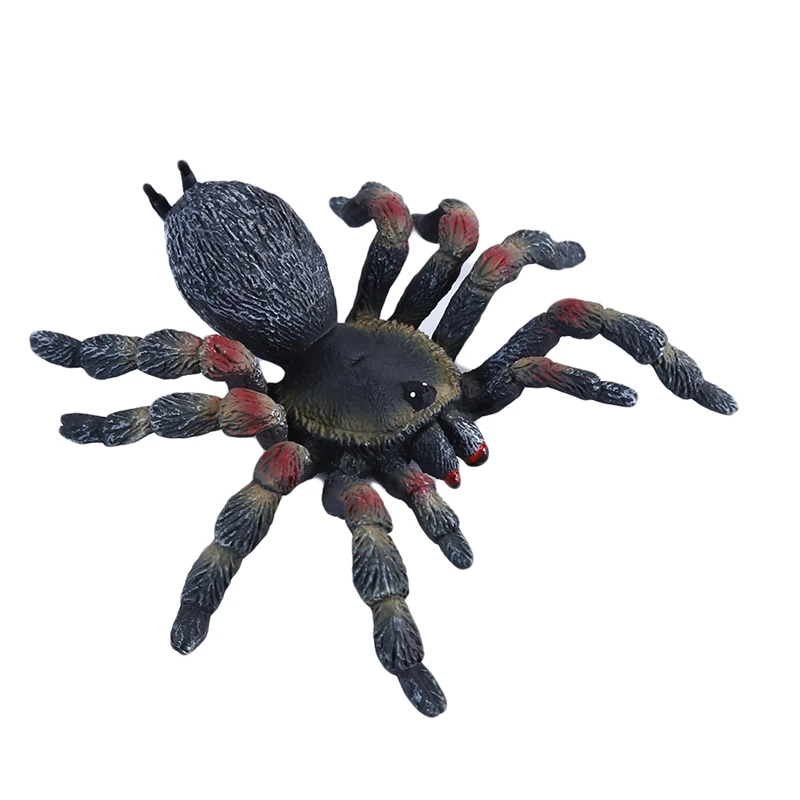 

Model Simulated Spider Toys Educational Science Toy for Kids Children Mini Doll Decoration Collection Figurine Toys Model