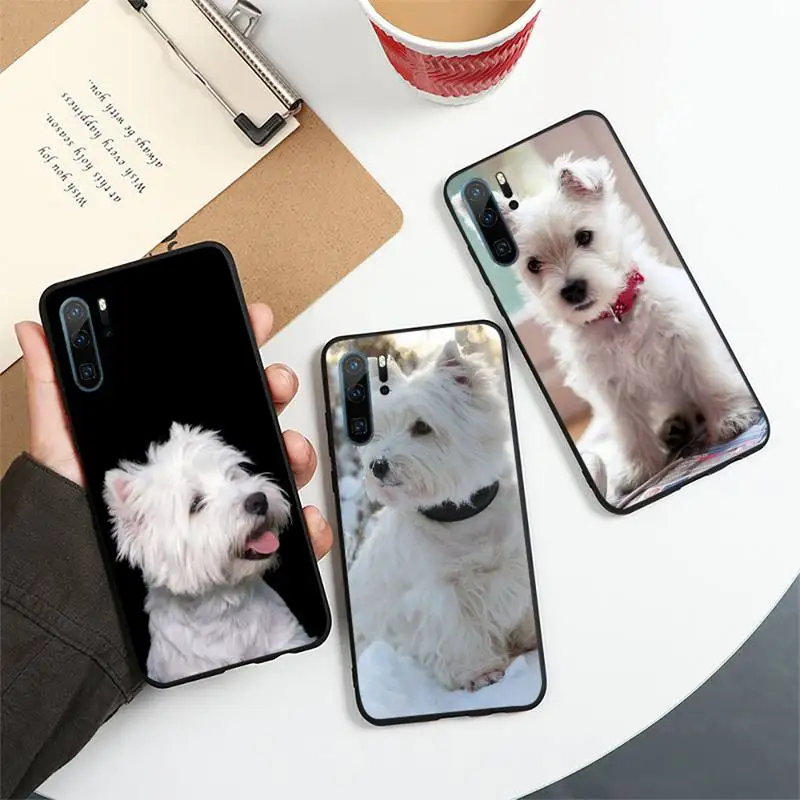 

Westie Terrier Dog Puppy Phone Case For Huawei honor Mate P 10 20 30 40 i 9 8 pro x Lite smart 2019 nova 5t