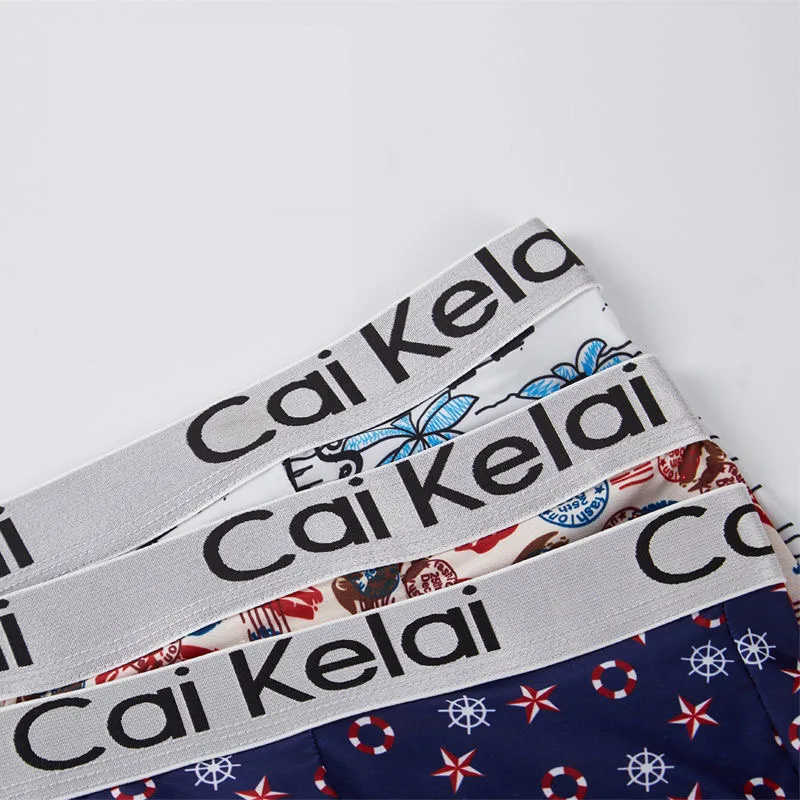 4PCS/LOT Men'S Underwear Men'S Boxer Pants Summer Ice Silk Men'S Underwear Comfortable Breathable Sexy