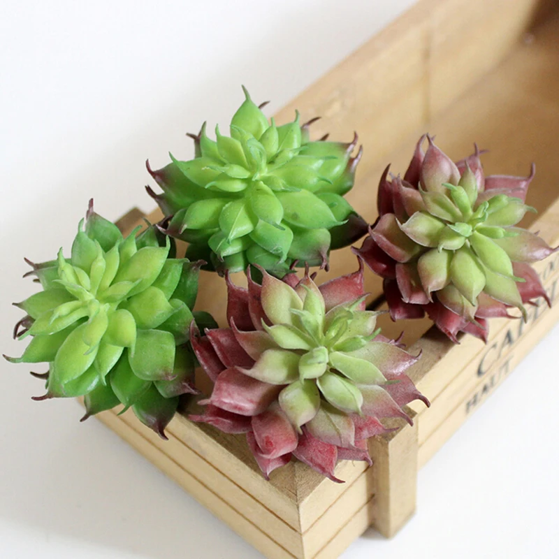 Земля лотоса Редкие растения суккуленты трава ландшафт с искусственным