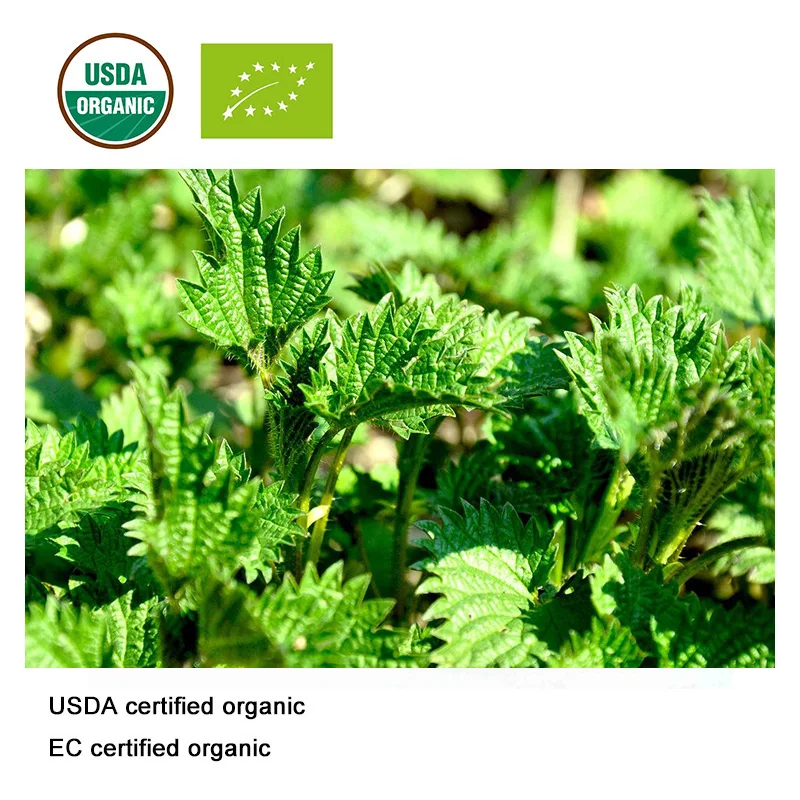 

USDA and EC Certified Organic nettle extract 20:1 Beta sitosterol