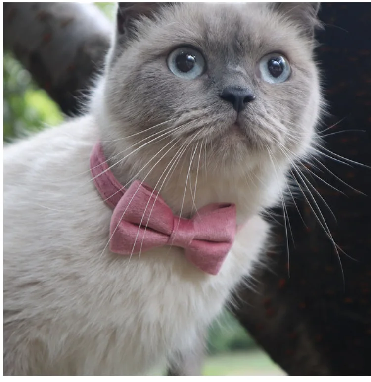 

Velvet Cat Collar Bowknot Adjustable Safety Buckle Gatos Bow Tie Cat Accessories Collar for Cats with Bell Solid Color