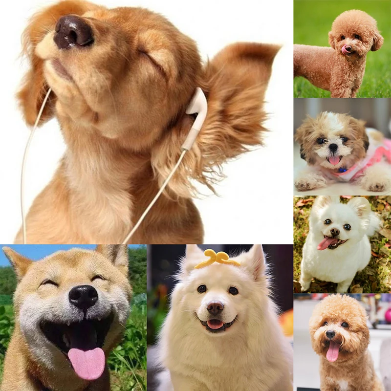 Полупрозрачный ошейник для собак и кошек против укусов кормления питомцев