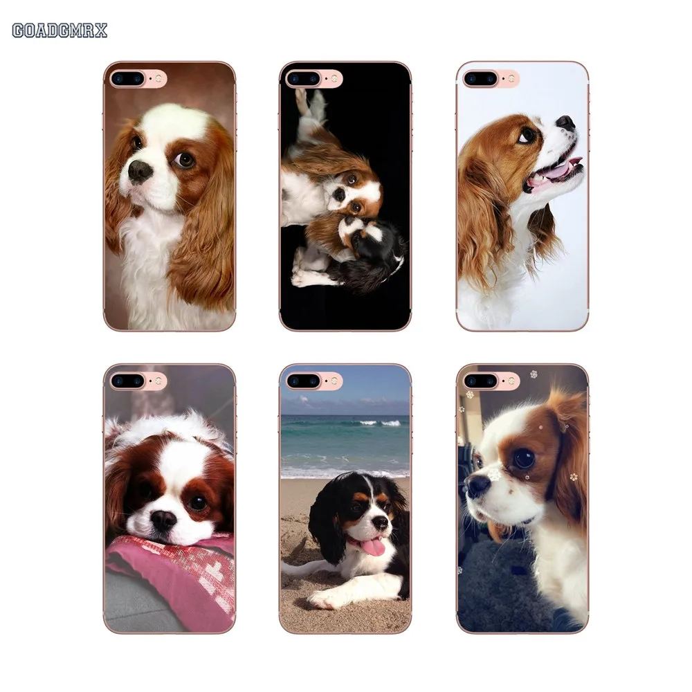 Для iPhone 6 6S 7 8 Plus X XS MAX XR 4 4s 5 5S SE 5C прозрачные мягкие чехлы Чехлы кавалер король
