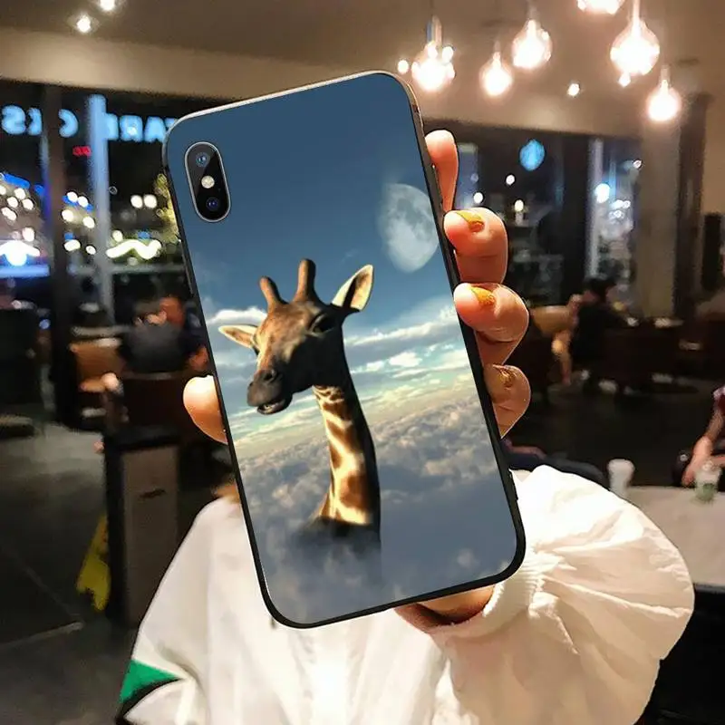 

Giraffe animal cute and funny Phone Case for iPhone 11 12 pro XS MAX 8 7 6 6S Plus X 5S SE 2020 XR