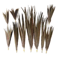10pcs natural ringneck pheasant tail feathers 20 75cm wedding home decoration feather for crafts plume plumas wholesale