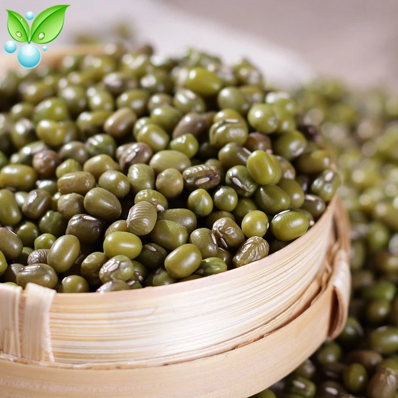 Бобы Mung уменьшают огонь удаляют фетальный яд и решают запор во время