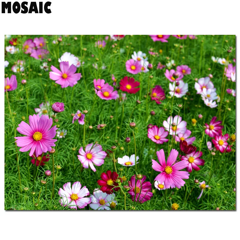 Алмазная вышивка сделай сам в современном стиле Космический бипината Cav.