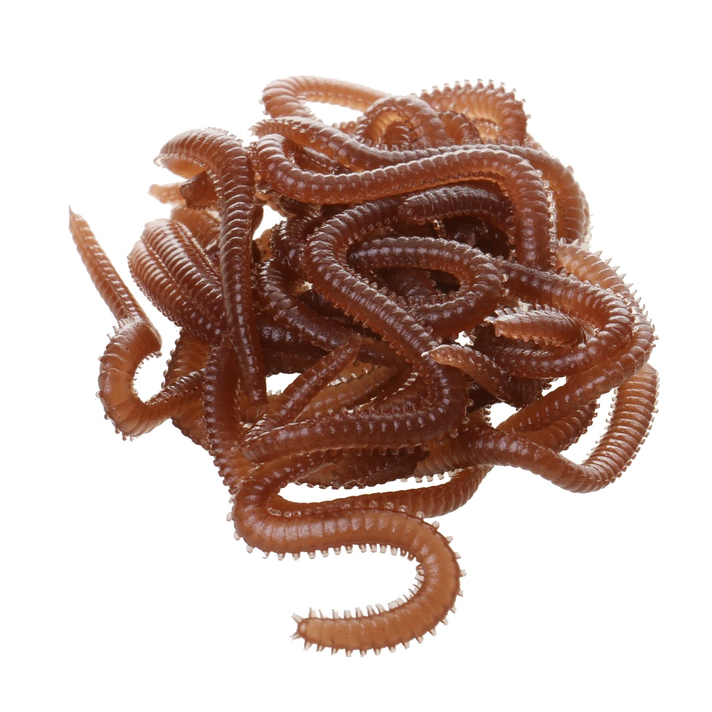 

Fishing Soft Rubber Lures with Fish Lure Flavor Earthworm Bait Flavored Worm Lures for Any Freshwater Saltwater Species