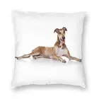 Наволочка для подушки Greyhound Sighthound, декоративные подушки с рисунком животных, подушка для дивана, двусторонняя печать
