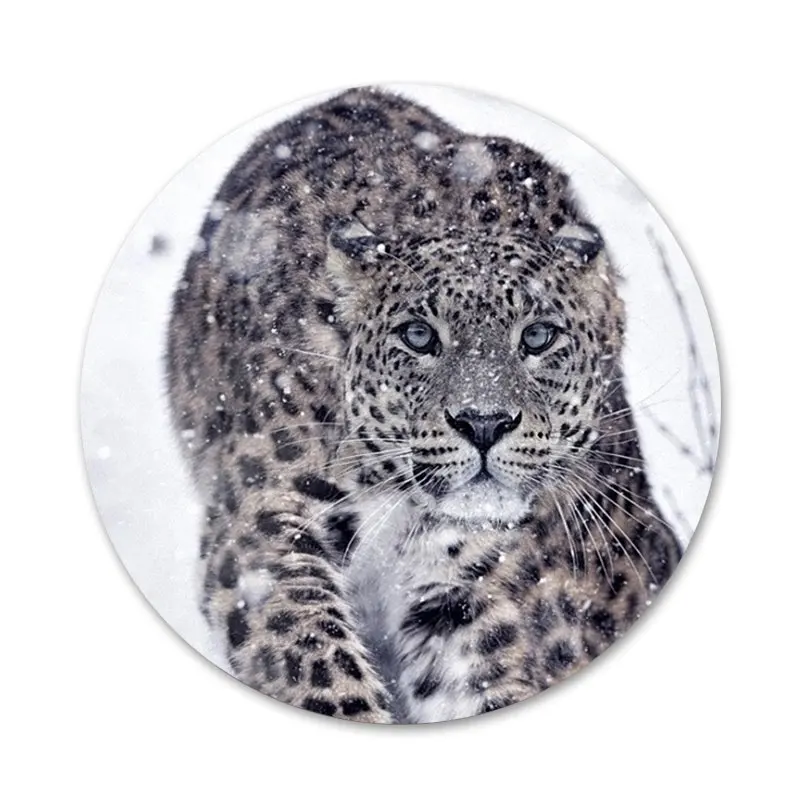 Животное Снежный Леопард значок для одежды рюкзак украшение подарок | Дом и сад