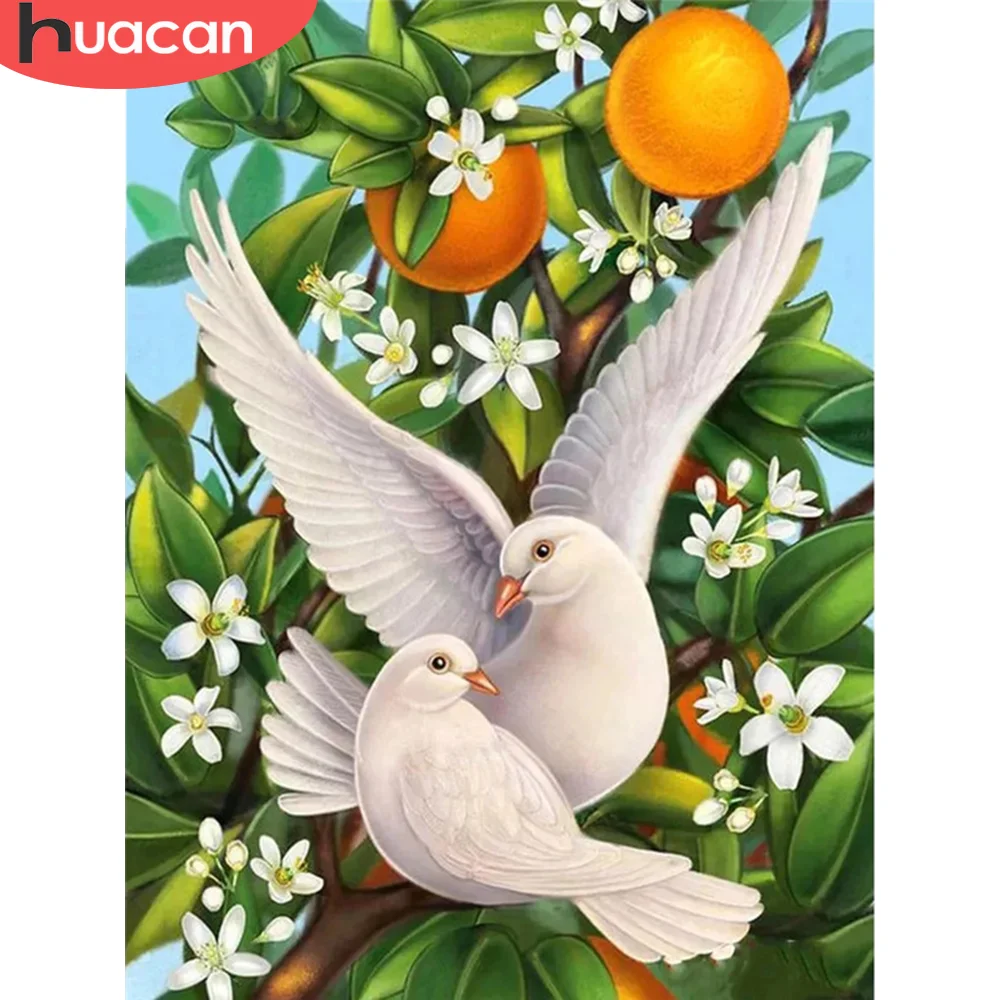 

HUACAN Diamond Painting Full Square Pigeon Cross Stitch Diamond Embroidery Animals Rhinestones Art Hobby Gift Home Decoration