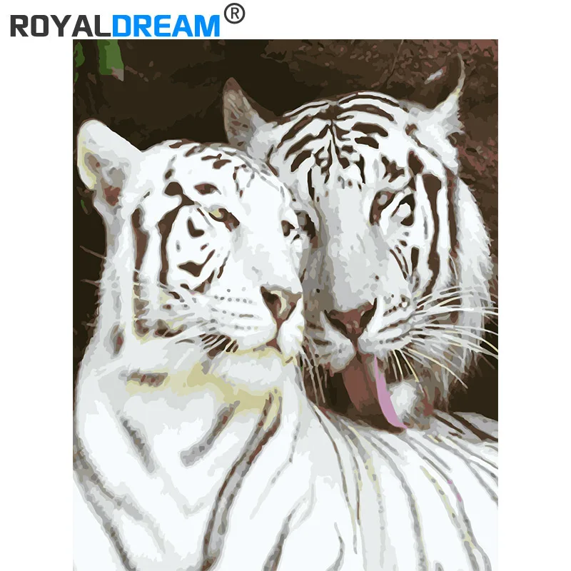 ROYALDREAM белый тигр муж и жена картина по номерам холст для дома настенное искусство