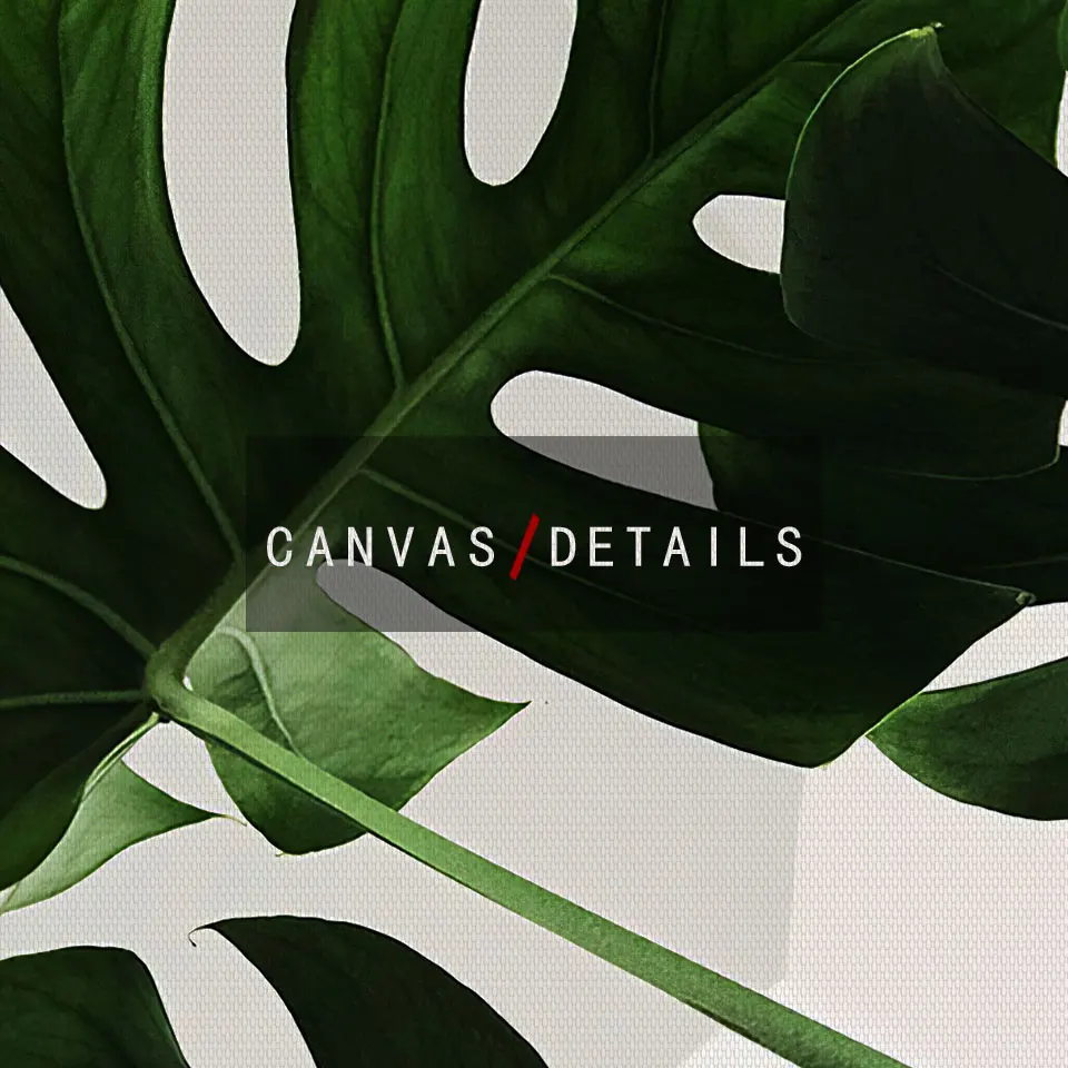 Картина на холсте с изображением растений цветов листьев | Дом и сад