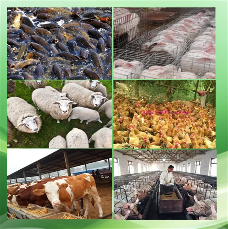 220В/380В мельница для гранулятора многофункциональный гранулятор корма пищевых