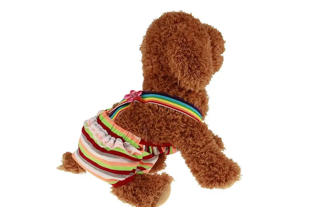 Женские подгузники для собак с регулируемой затяжной ремень шорты