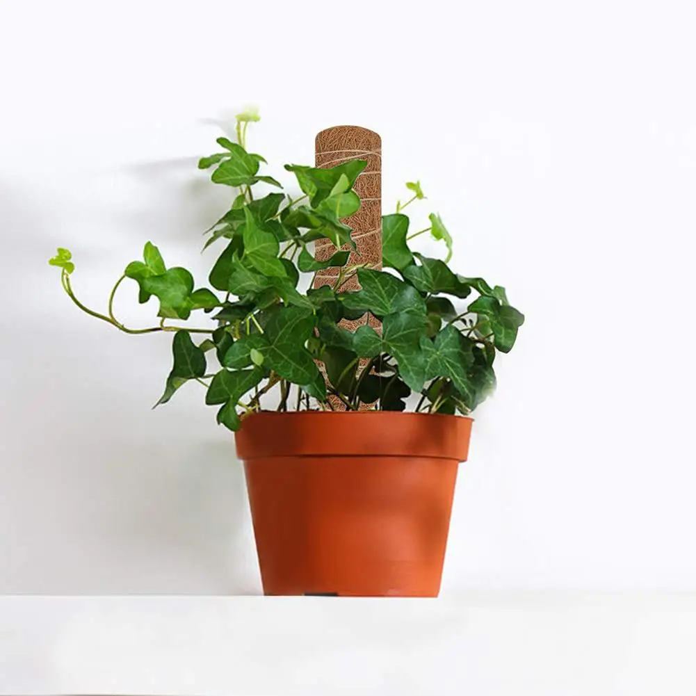 Кокосовая пальма для подъема растений безопасная палочка кокосовой пальмы