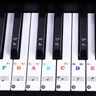 Наклейка на клавиатуру прозрачная, в форме рояля, электронная клавиатура с 6188 клавишами, наклейка на клавиатуру для пианино с 88 клавишами