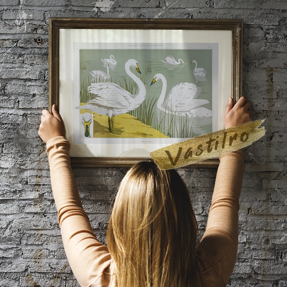 Настенная картина Vastilro Maurice Pillard Verneuil Cygne Sauvage