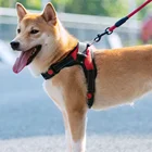 Нагрудник для собак и кошек, Регулируемый мягкий с воздухопроницаемой сеткой, с изображением собаки жилет, жилет для тренировки, ошейник для щенков