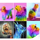 Алмазная 5D Вышивка Anmial Chihuahua 5D DIY, алмазная живопись, Цветная собака, Алмазная мозаика, стразы, украшение для дома, кот FG1829