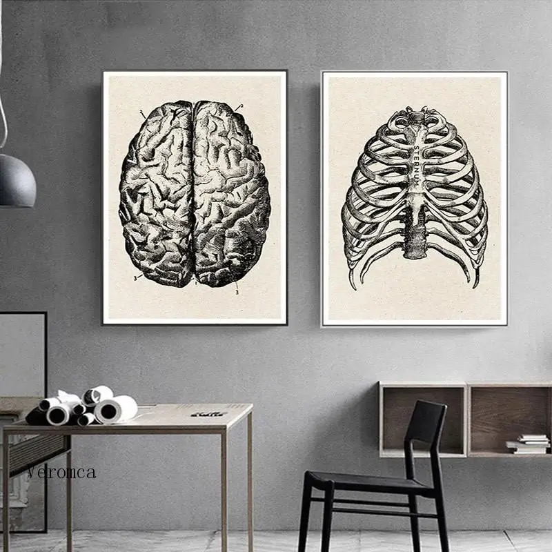 

Human Anatomy Skeleton Education Poster Artwork Medical Print Wall Art Picture Muscle Skeleton Nordic Canvas Painting Home Decor
