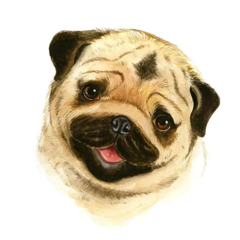 

New Cartoon Lovely Head Modelling Cover scratches Car-Sticker Decal for Bumper Rear Windshield Other Vehicle KK14*13cm