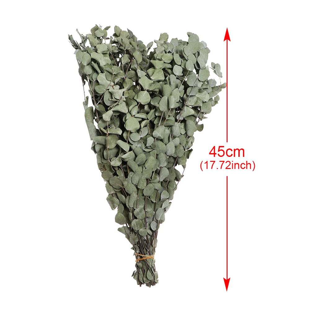 

Natural Eucalyptus Branches Preserved Fresh Real Dried Bouquet Green Plant Leaves Home Party Wedding Decoration