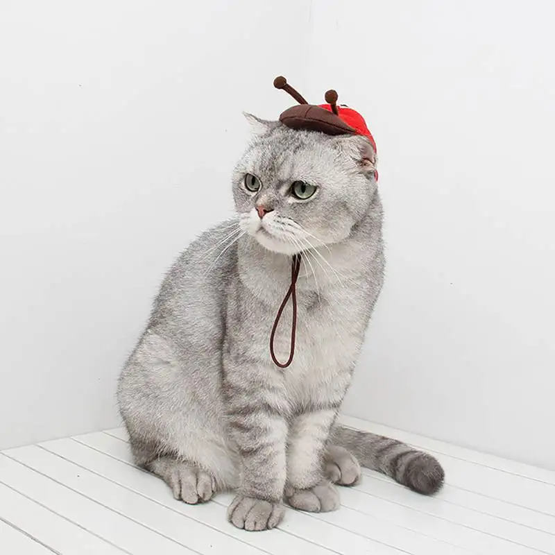 Костюм для хеллоуина, косплей, божья коровка/пчелиная шапка, шляпа для кошки, Хэллоуин, Рождественская одежда, Нарядная шапка